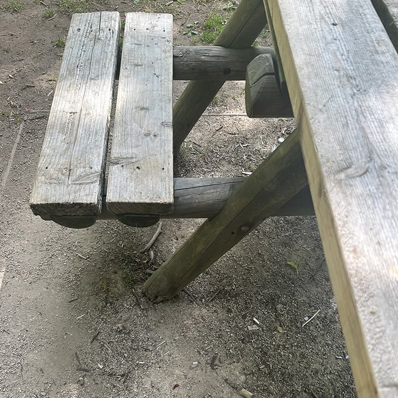 A quiet morning at Coombe Abbey